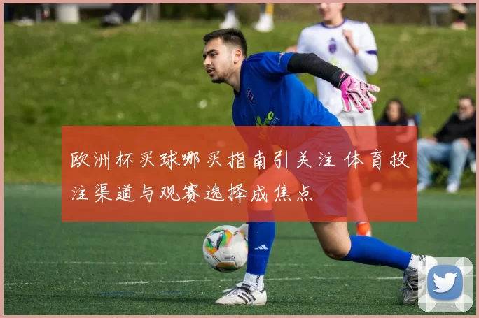 欧洲杯买球哪买指南引关注 体育投注渠道与观赛选择成焦点