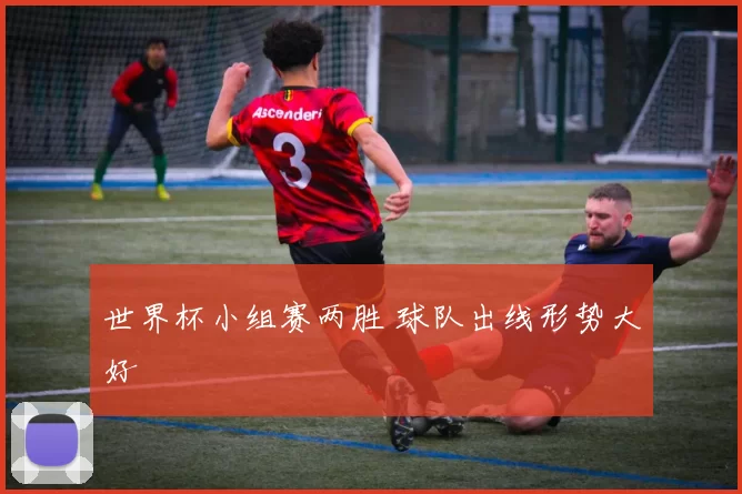 世界杯小组赛两胜 球队出线形势大好