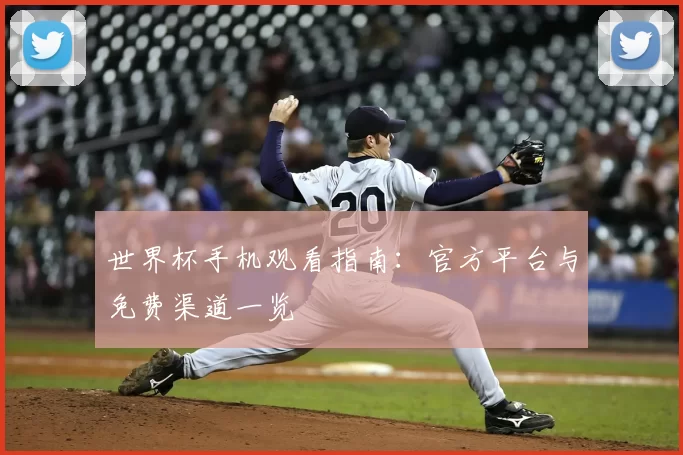 世界杯手机观看指南：官方平台与免费渠道一览