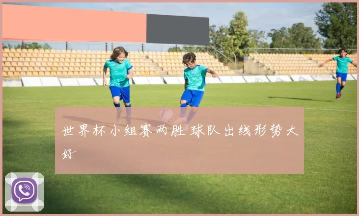 世界杯小组赛两胜 球队出线形势大好