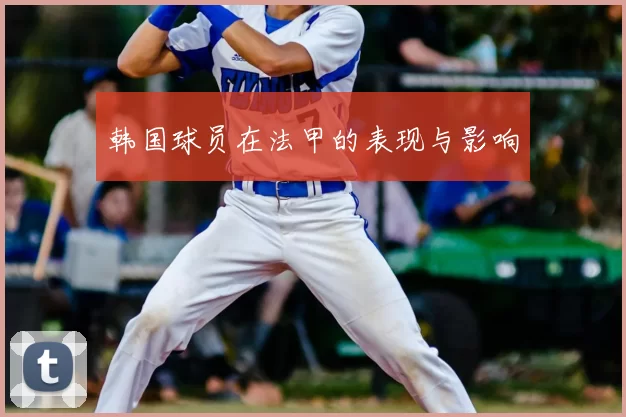 韩国球员在法甲的表现与影响