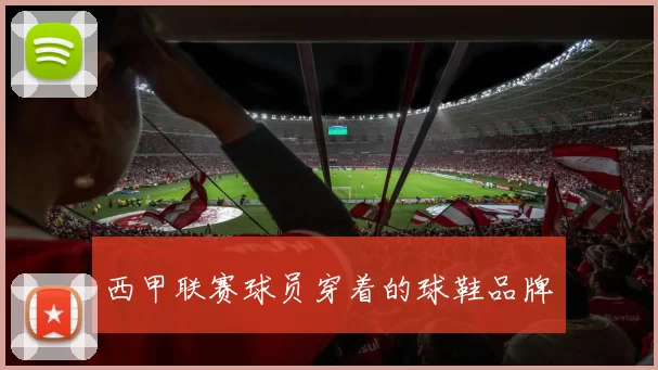 西甲联赛球员穿着的球鞋品牌