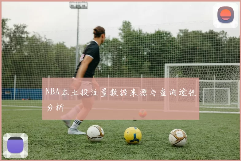 NBA本土投注量数据来源与查询途径分析