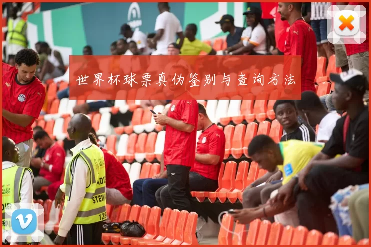 世界杯球票真伪鉴别与查询方法
