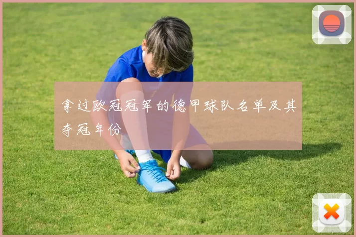 拿过欧冠冠军的德甲球队名单及其夺冠年份