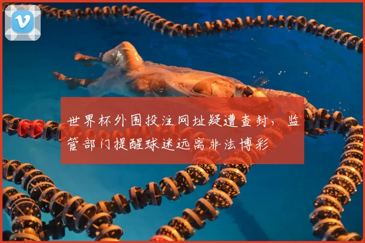 世界杯外围投注网址疑遭查封，监管部门提醒球迷远离非法博彩