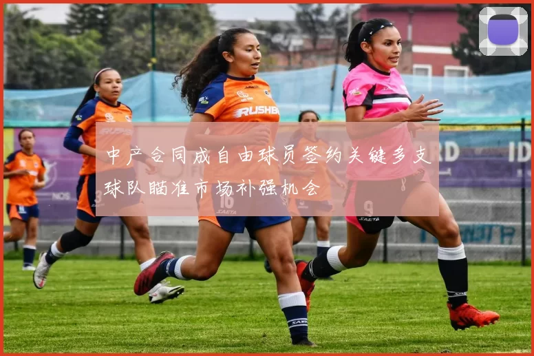 中产合同成自由球员签约关键多支球队瞄准市场补强机会
