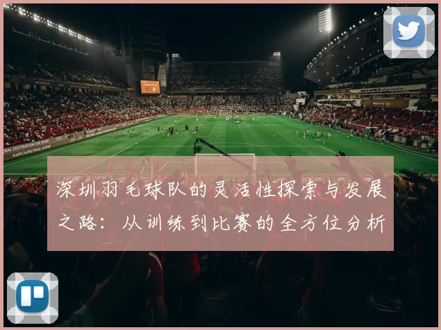 深圳羽毛球队的灵活性探索与发展之路：从训练到比赛的全方位分析