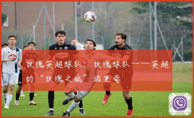 玫瑰英超球队:玫瑰球队——英超的“玫瑰之城”诺里奇