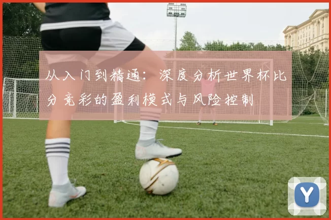 从入门到精通:深度分析世界杯比分竞彩的盈利模式与风险控制