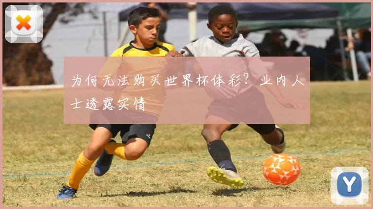 为何无法购买世界杯体彩?业内人士透露实情