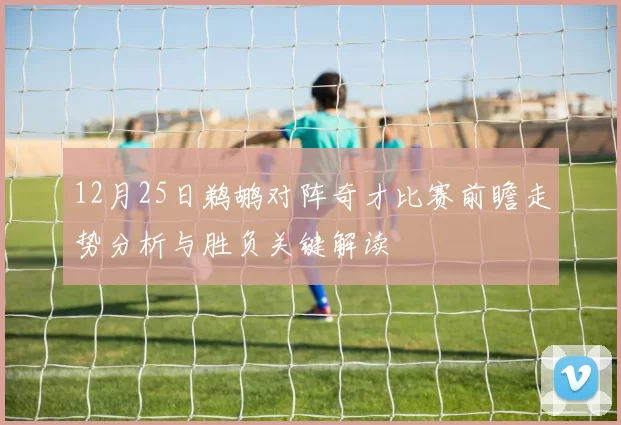 12月25日鹈鹕对阵奇才比赛前瞻走势分析与胜负关键解读
