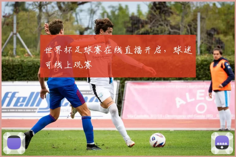 世界杯足球赛在线直播开启，球迷可线上观赛