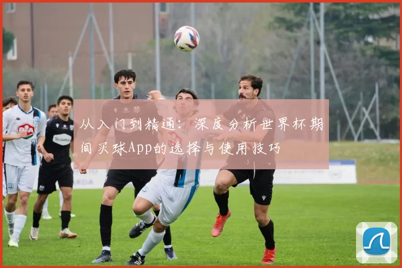 从入门到精通：深度分析世界杯期间买球App的选择与使用技巧