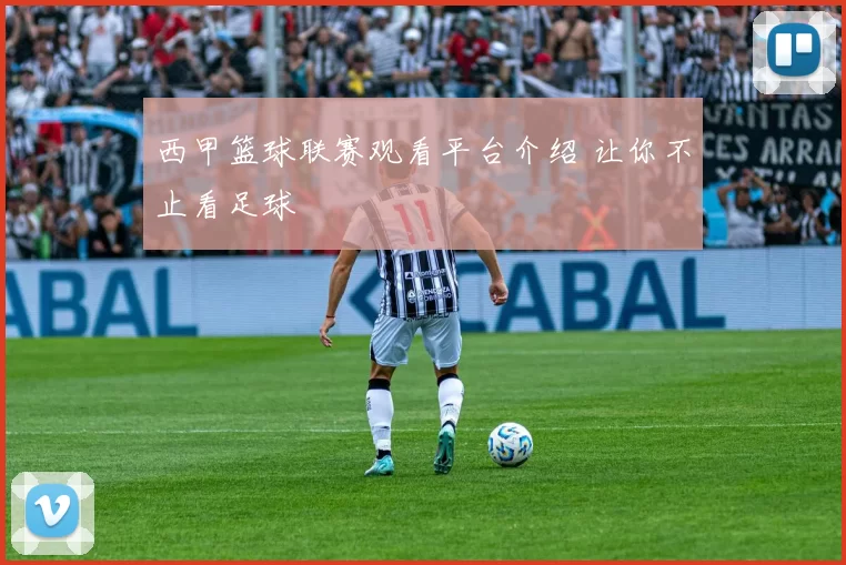 西甲篮球联赛观看平台介绍 让你不止看足球