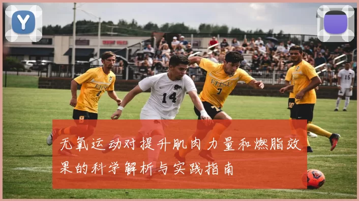 无氧运动对提升肌肉力量和燃脂效果的科学解析与实践指南