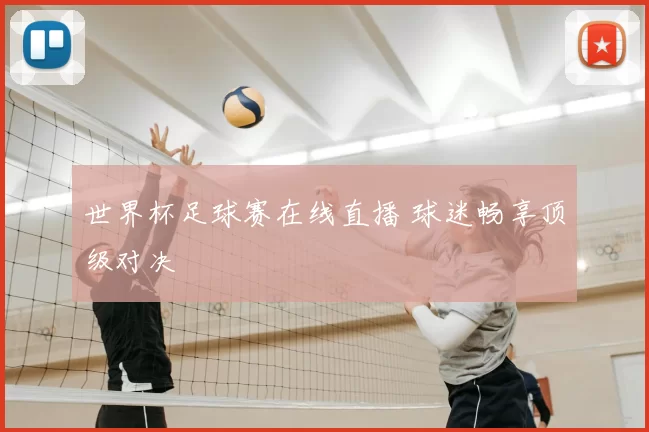 世界杯足球赛在线直播 球迷畅享顶级对决