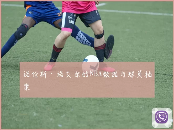 诺伦斯·诺艾尔的NBA数据与球员档案