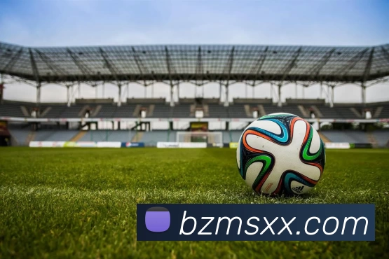 kaiyun平台生态图